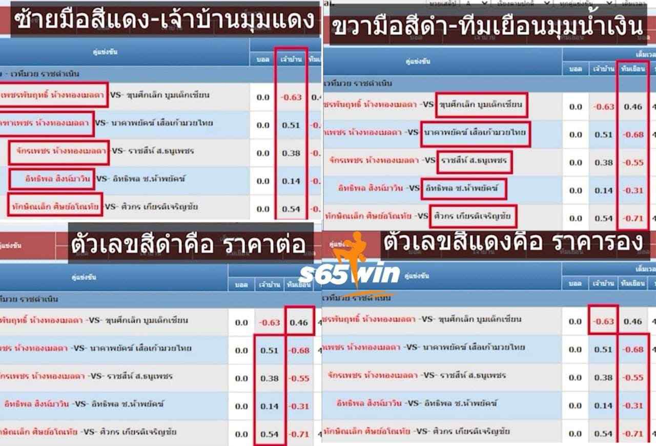 มวยไทยออนไลน์ 29